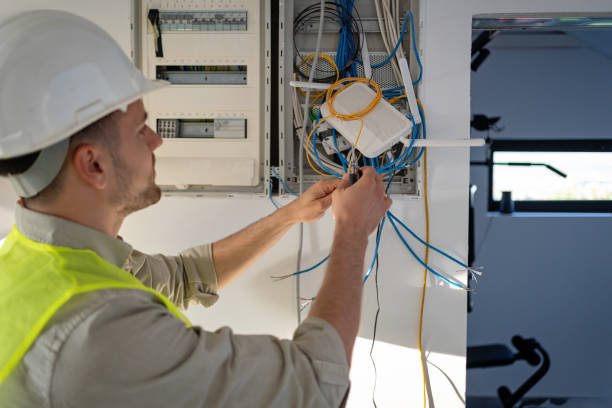 Best Electric Panel Repair  in Quitman, TX